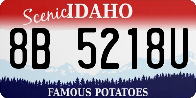 ID license plate 8B5218U