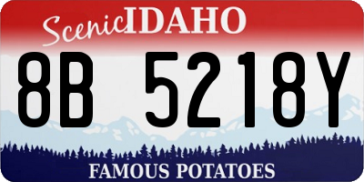 ID license plate 8B5218Y