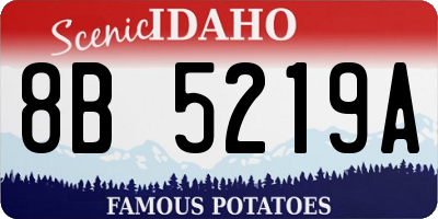 ID license plate 8B5219A