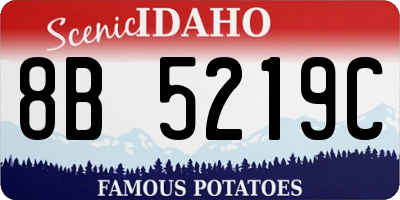 ID license plate 8B5219C