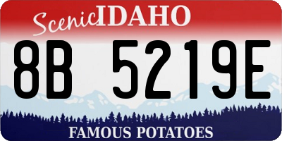 ID license plate 8B5219E