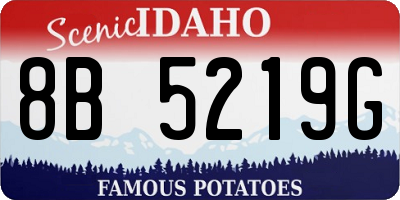 ID license plate 8B5219G