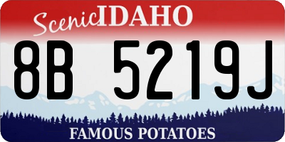 ID license plate 8B5219J