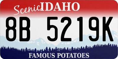 ID license plate 8B5219K
