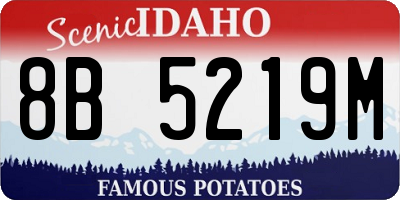 ID license plate 8B5219M