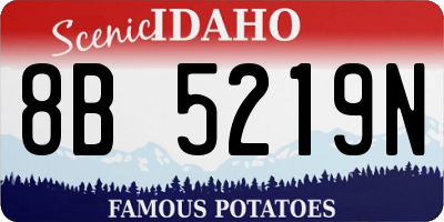 ID license plate 8B5219N