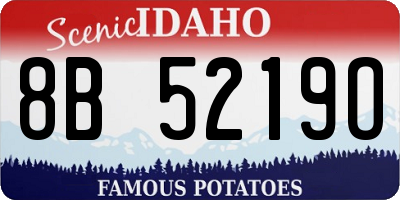 ID license plate 8B5219O