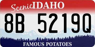 ID license plate 8B5219Q