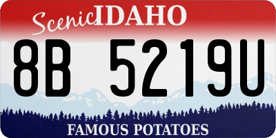 ID license plate 8B5219U