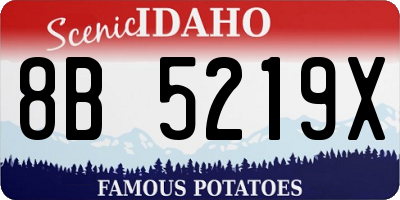 ID license plate 8B5219X