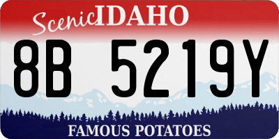 ID license plate 8B5219Y