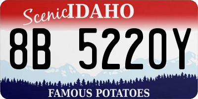 ID license plate 8B5220Y