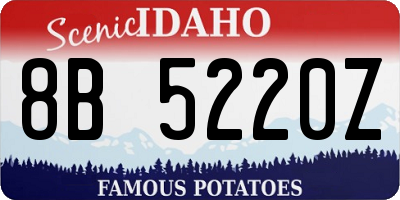 ID license plate 8B5220Z