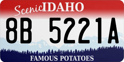 ID license plate 8B5221A