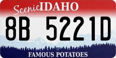 ID license plate 8B5221D
