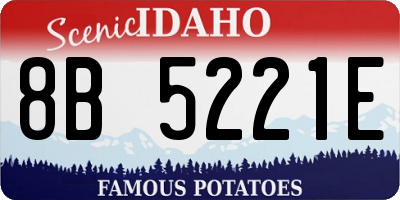 ID license plate 8B5221E