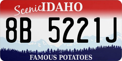ID license plate 8B5221J