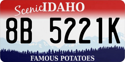 ID license plate 8B5221K