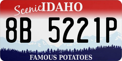 ID license plate 8B5221P
