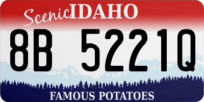 ID license plate 8B5221Q