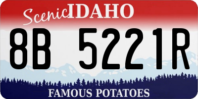 ID license plate 8B5221R