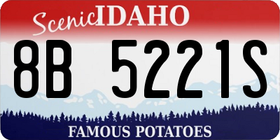 ID license plate 8B5221S