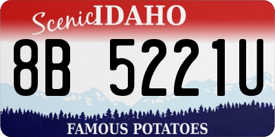 ID license plate 8B5221U