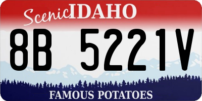 ID license plate 8B5221V