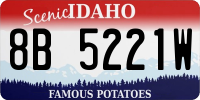 ID license plate 8B5221W