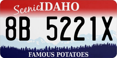 ID license plate 8B5221X