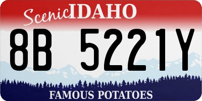 ID license plate 8B5221Y