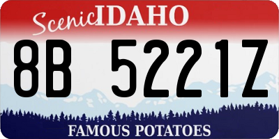 ID license plate 8B5221Z