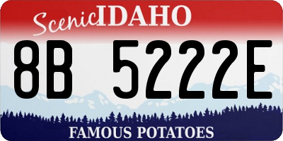 ID license plate 8B5222E