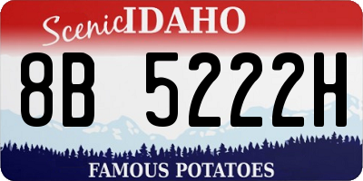 ID license plate 8B5222H