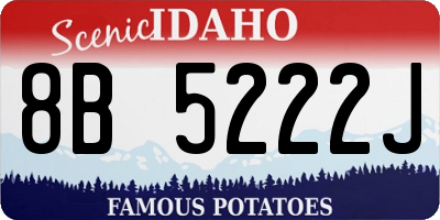 ID license plate 8B5222J