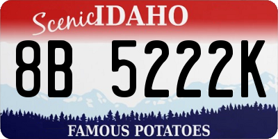 ID license plate 8B5222K