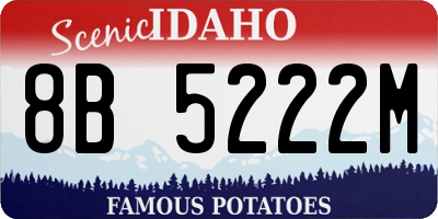 ID license plate 8B5222M