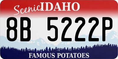 ID license plate 8B5222P
