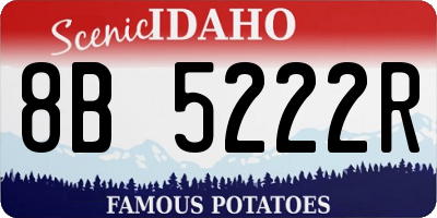 ID license plate 8B5222R