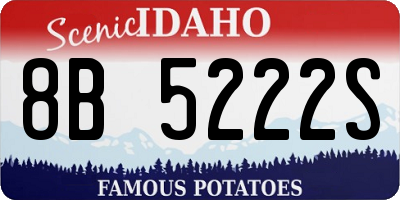 ID license plate 8B5222S
