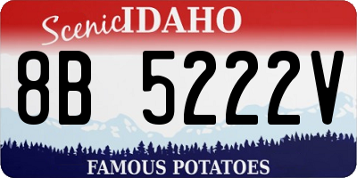 ID license plate 8B5222V