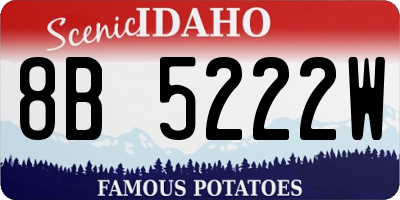 ID license plate 8B5222W