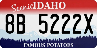 ID license plate 8B5222X