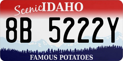 ID license plate 8B5222Y