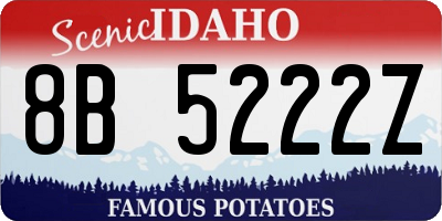 ID license plate 8B5222Z