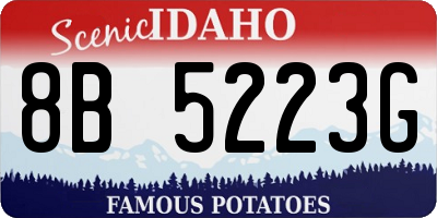 ID license plate 8B5223G