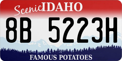 ID license plate 8B5223H