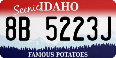 ID license plate 8B5223J