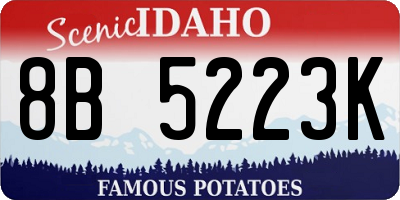 ID license plate 8B5223K