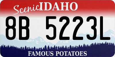 ID license plate 8B5223L